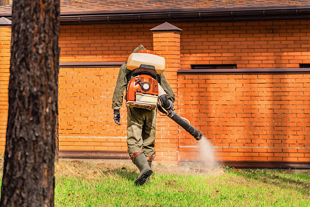 Trusted Cockroach Control service in Castalia, OH - Nex Pest Control